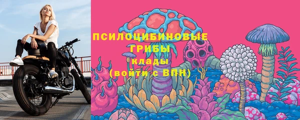 стафф Рославль