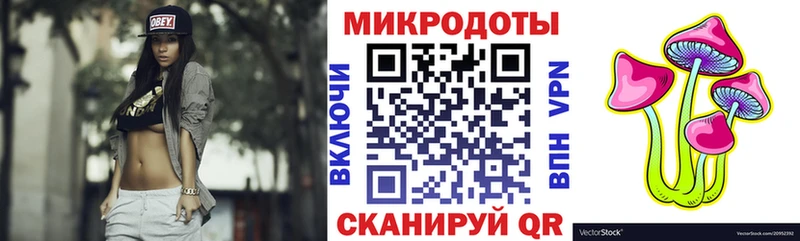 наркотики  Суворов  Галлюциногенные грибы Psilocybe 
